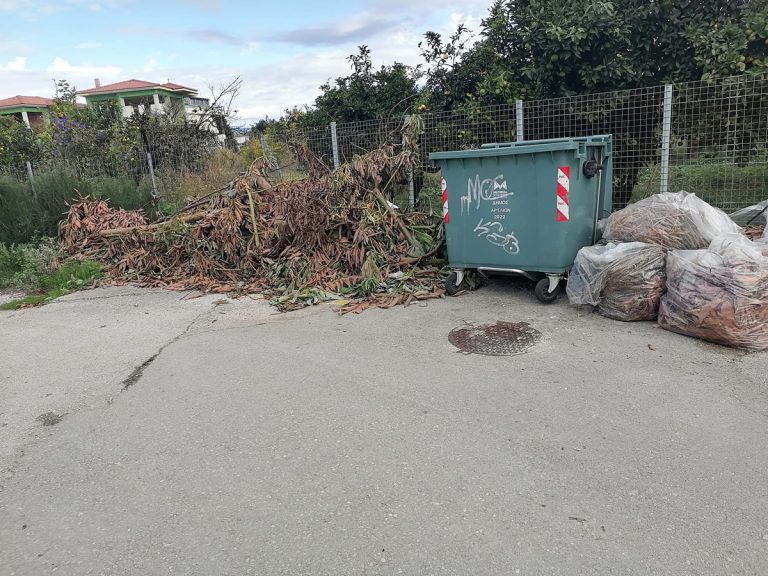 Παρεμβάσεις καθαρισμού από το Δήμο Αρταίων