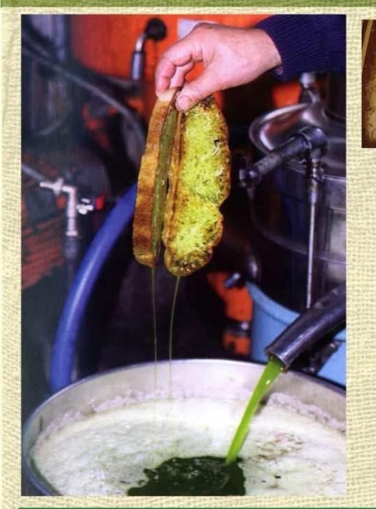 Eoρτή της μπουκουβάλας στο Καστόρι της Λακωνίας