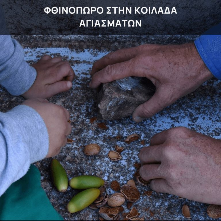 Χίος: Φθινόπωρο στην Κοιλάδα Αγιασμάτων, με τους Φίλους Μονοπατιών