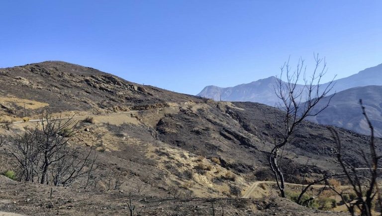 Χίος- «Επιτροπή Υπεράσπισης Αμανής»: Τρεις μήνες μετά τις φωτιές, η Αμανή παραμένει στο μηδέν