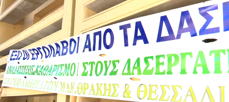 Θεσσαλονίκη: Στους δρόμους δασεργάτες ενάντια στη διαχείριση των δασών