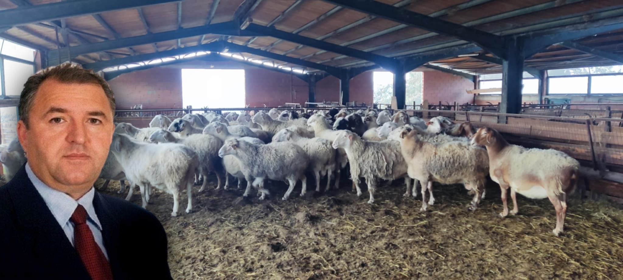 Β. Δελησταμάτης: Με τον παράνομο εμβολιασμό η επιδημιολογική εικόνα της χώρας είναι τραγική