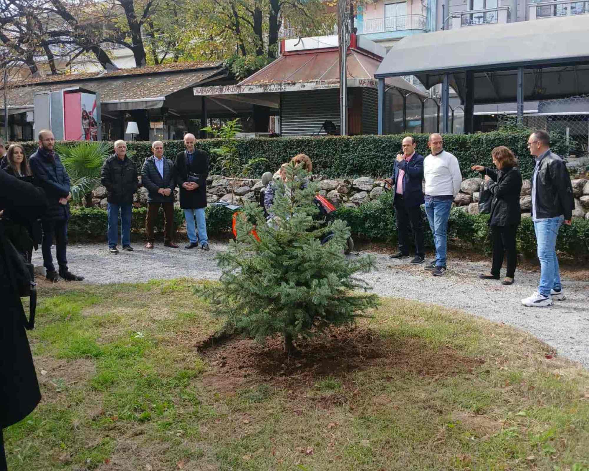 dendrofytefsi-dorea-organon-4