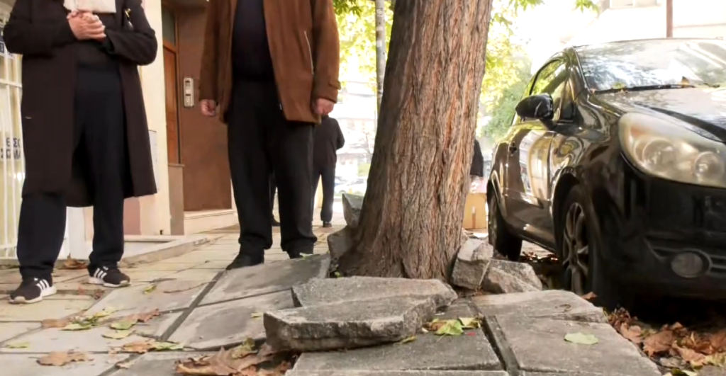 Συχνές οι πτώσεις δέντρων στη Θεσσαλονίκη – Ανησυχούν οι πολίτες