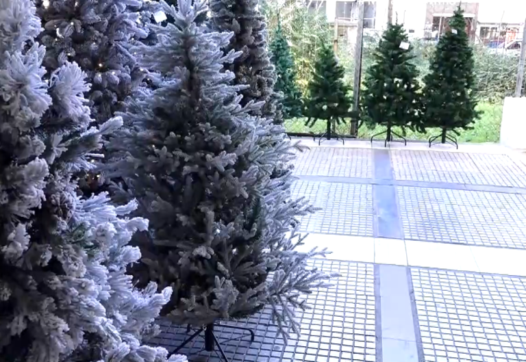 Σε ρυθμούς Χριστουγέννων η αγορά – Οι τιμές για δέντρα και στολίδια