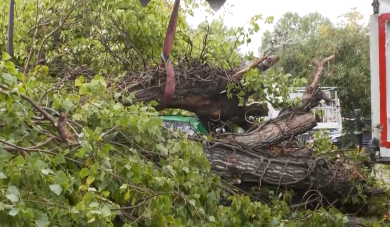 Κύμα κακοκαιρίας με ισχυρές καταιγίδες: Προβλήματα σε Ήπειρο, Θεσσαλονίκη, Πρέβεζα, Φιλιππιάδα, Κέρκυρα και Πελοπόννησο (Εικόνες)
