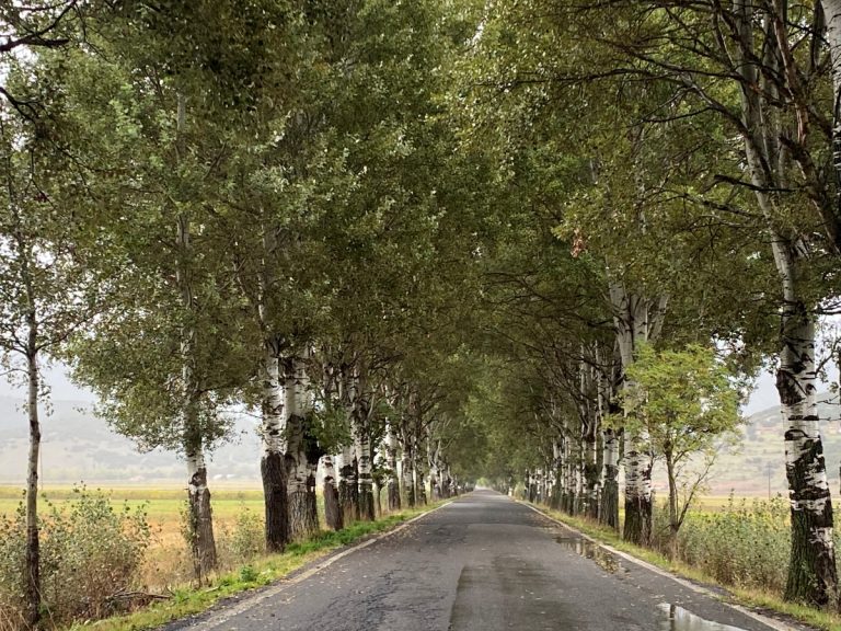 Toυριστικός προορισμός η Πελοπόννησος – Αναγνώριση από τουριστικό μέσο