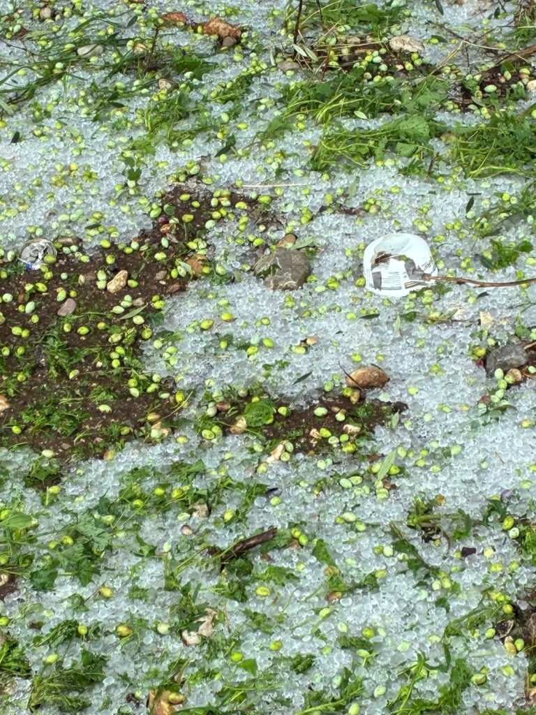 Η Περιφέρεια Πελοποννήσου για το χαλάζι της Αργολίδας