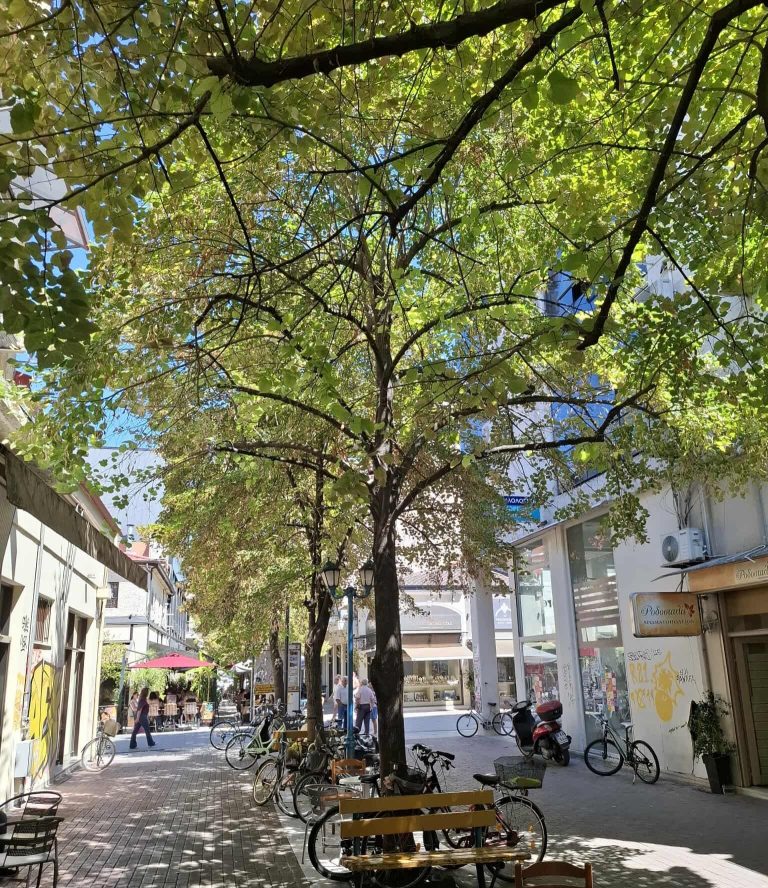 Καρδίτσα: Ο Εμπορικός Σύλλογος Καρδίτσας στο πλευρό όσων αντιδρούν στις αναπλάσεις Χατζημήτρου και Σμύρνης