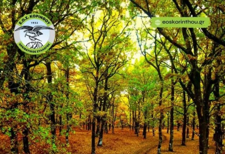 Πεζοπορική εξόρμηση ΕΟΣ Κορίνθου στο μαγευτικό δάσος Φολόης