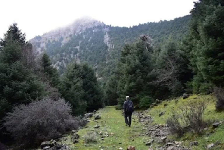 Εξόρμηση ΕΟΣ Λουτρακίου στον Φαρμακά