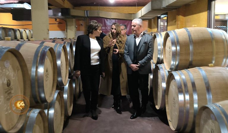 Αμύνταιο: Επίσκεψη Συντονίστριας Γραφείου Πρωθυπουργού