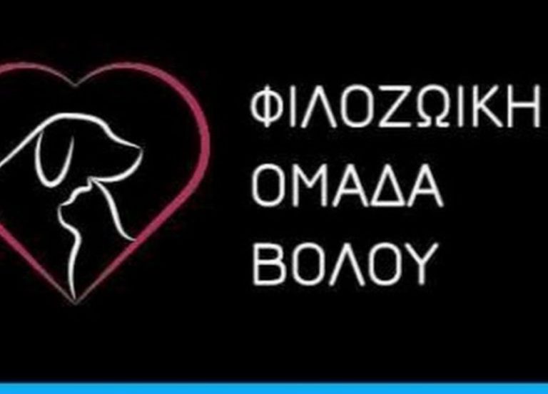 Φιλοζωική Ομάδα Βόλου: “Η συνεργασία με τους θεσμούς φέρνει αποτελέσματα”