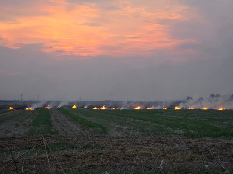 Περιφέρεια Θεσσαλίας: H καύση υπολειμμάτων γεωργικών καλλιεργειών επισύρει ποινή μείωσης των επιδοτήσεων