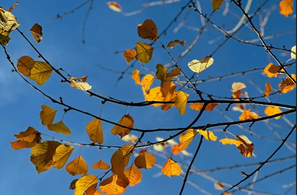 Καιρός: Αίθριος με αραιές νεφώσεις, άνοδο θερμοκρασίας και μεταφορά αφρικανικής σκόνης