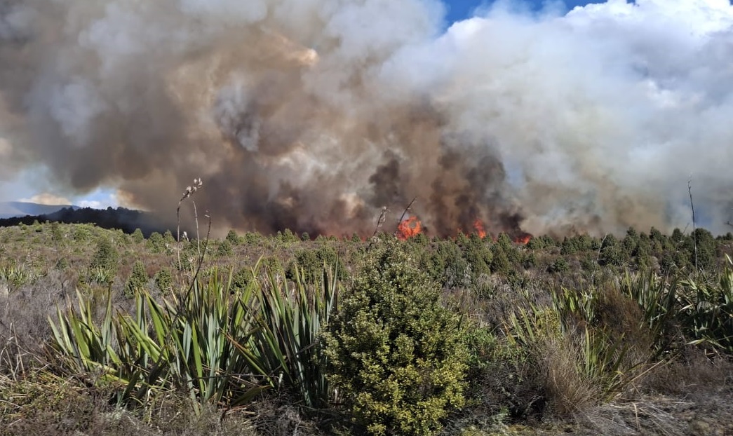 psifiaki-karta-ergasias