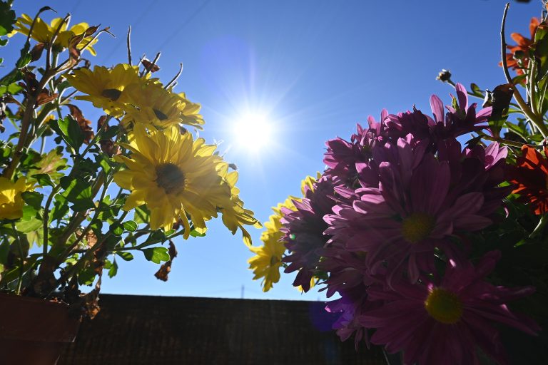 Με ηλιοφάνεια μπαίνει ο Δεκέμβριος μετά την Adel – Πότε θα επιστρέψουν οι βροχές