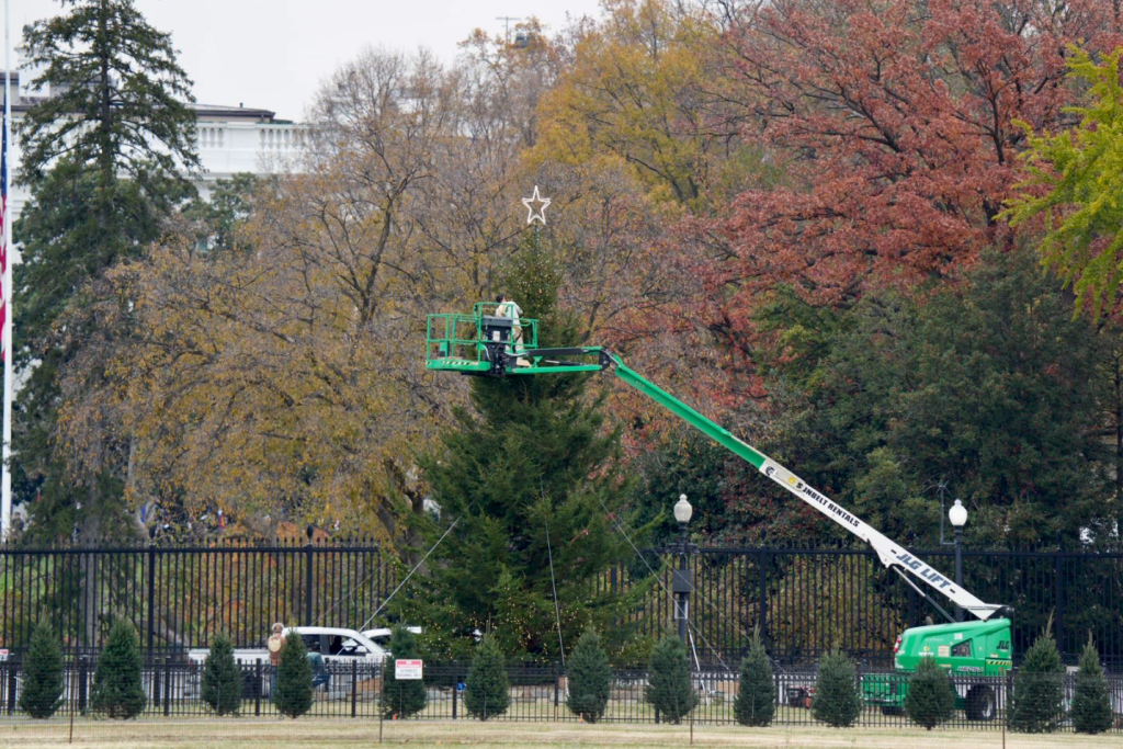 HΠΑ: Ο Λευκός Οίκος, υπό τον Τραμπ, στολίστηκε νωρίς – Από τη Νεβάδα ταξίδεψε το χριστουγεννιάτικο δέντρο