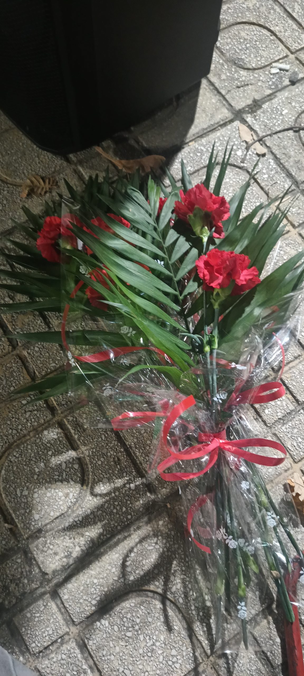 img-20251117-175402047 Φλώρινα: Με πορεία και συγκέντρωση στην πλατεία οι εκδηλώσεις για την επέτειο του Πολυτεχνείου (βίντεο)