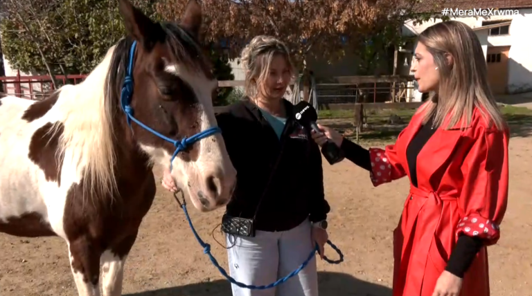 Θεσσαλονίκη: Θεραπευτική ιππασία για την αποκατάσταση κινητικών προβλημάτων