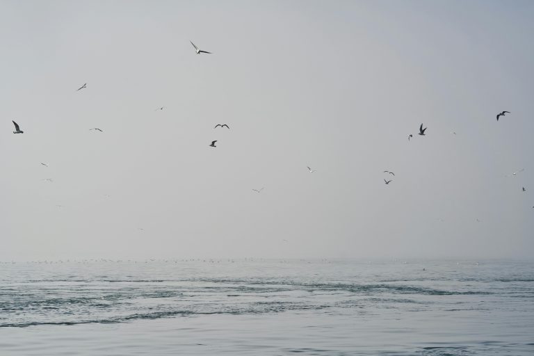 Άστατος καιρός με νοτιάδες και βροχές – Σε άνοδο η θερμοκρασία – Πρόγνωση από την Α. Τυράσκη