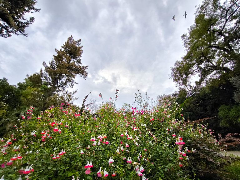 Βελτιωμένος καιρός στα ηπειρωτικά – Για λίγο καταιγίδες σε ανατολικό Αιγαίο και Δωδεκάνησα – Πρόγνωση από τον Π. Γιαννόπουλο