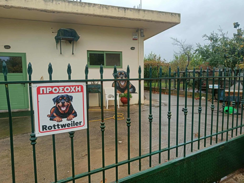 Καλαμάτα – Επίθεση ροτβάιλερ: Σε σταθερή κατάσταση ο 76χρονος – Ειδικοί μιλούν στο ErtNews