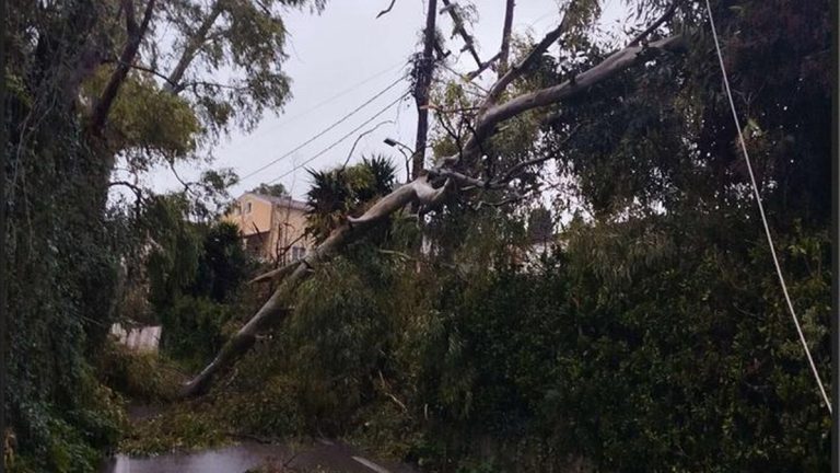 Σοβαρά προβλήματα από την κακοκαιρία στην Κέρκυρα: Χωρίς ρεύμα πολλές περιοχές – Δέντρο έπεσε σε νεκροταφείο