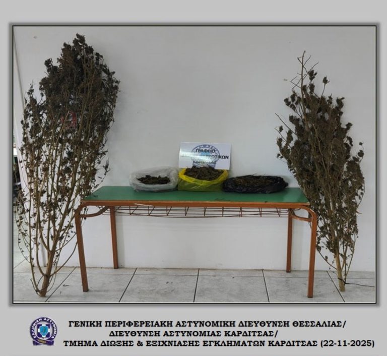 Σύλληψη στον Παλαμά Καρδίτσας για κάνναβη