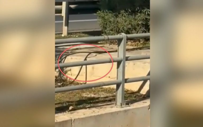 Νεροκλοπή στο Κορωπί: Έκλεβαν με λάστιχα νερό – 8 συλλήψεις