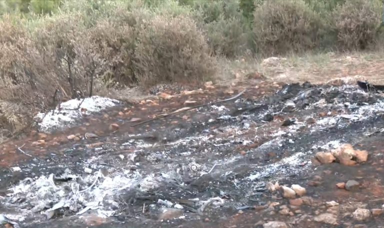 Απανθρακωμένο πτώμα με χειροπέδες στη Βοιωτία: «Καλοσχεδιασμένη ενέργεια, οι δράστες ίσως γνωρίζουν πολύ καλά την περιοχή» λέει η Κ. Δημογλίδου