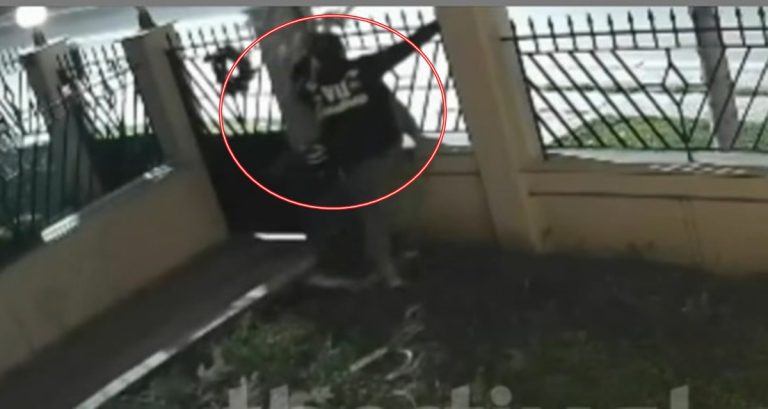 Kλέφτης έκλεψε xριστουγεννιάτικο δέντρο από κήπο – Η δράση του καταγράφηκε από κάμερα