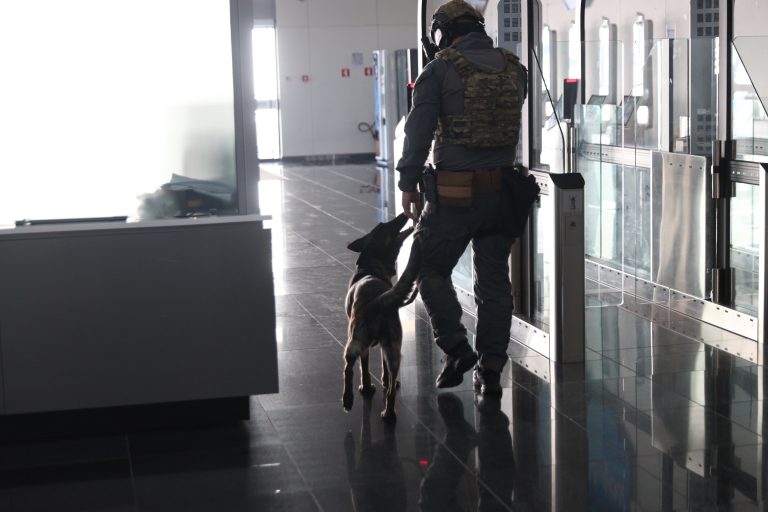 Συνελήφθη αρχηγικό μέλος κυκλώματος διακίνησης μεταναστών στον Πειραιά