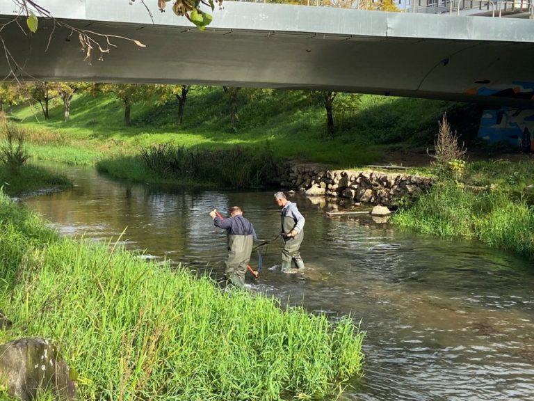 Τρίκαλα: Εργασίες καθαρισμού στον Ληθαίο ποταμό
