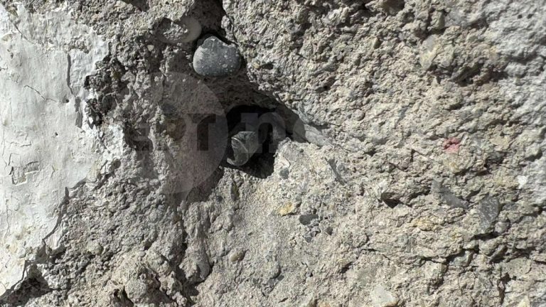 Μακελειό στα Βορίζια: Απολογούνται οι δύο τραυματίες – Στο ΠΑΓΝΗ μεταβαίνει η Ανακρίτρια