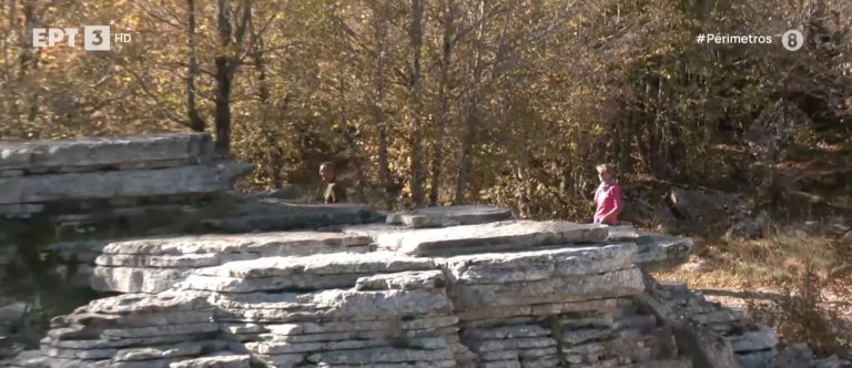 Πέτρινο Δάσος: Ένα  “γλυπτό” της φύσης που εντυπωσιάζει με τη μοναδική ομορφιά του