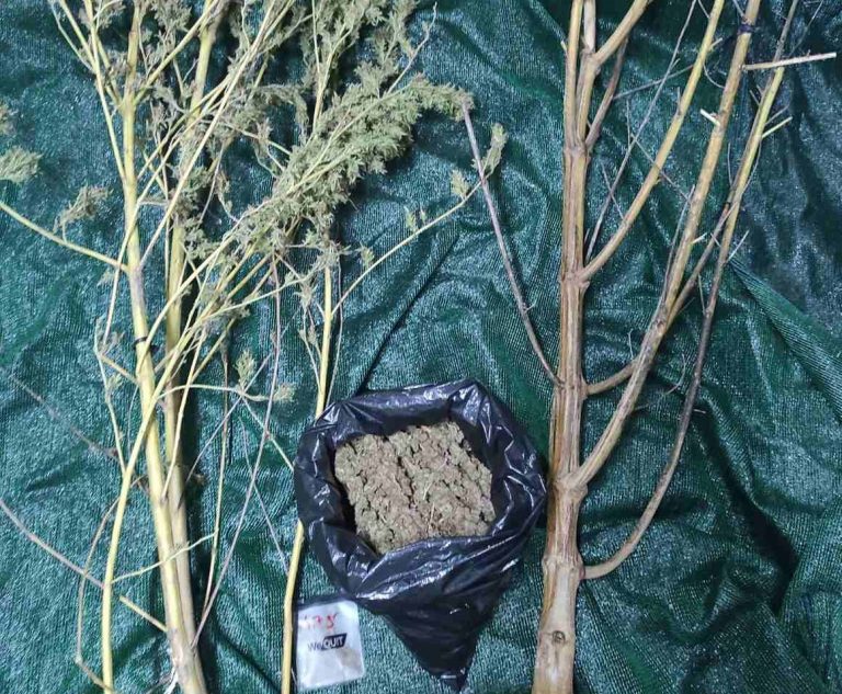 Συνελήφθη άνδρας για καλλιέργεια κάνναβης στον Πύργο