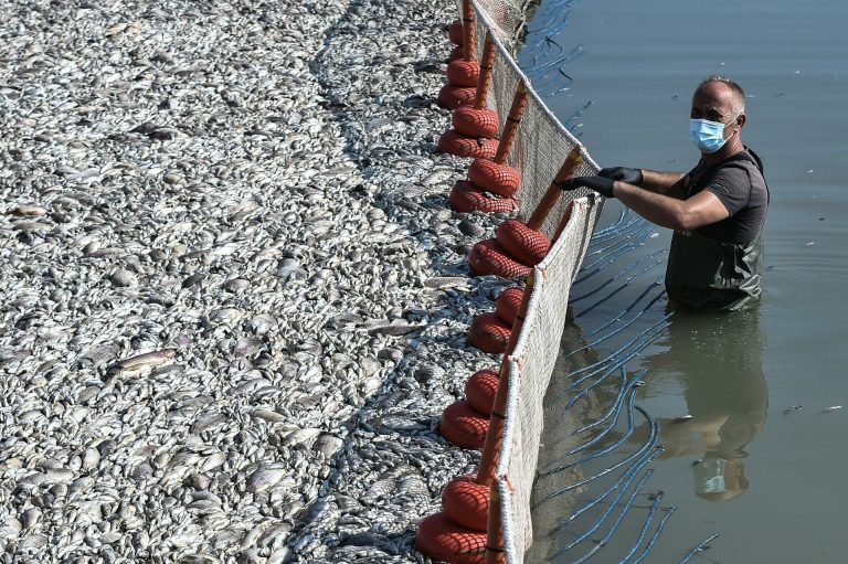 Παραδόθηκε στην Εισαγγελία Βόλου το πόρισμα για τη ρύπανση από τα νεκρά ψάρια της Κάρλας