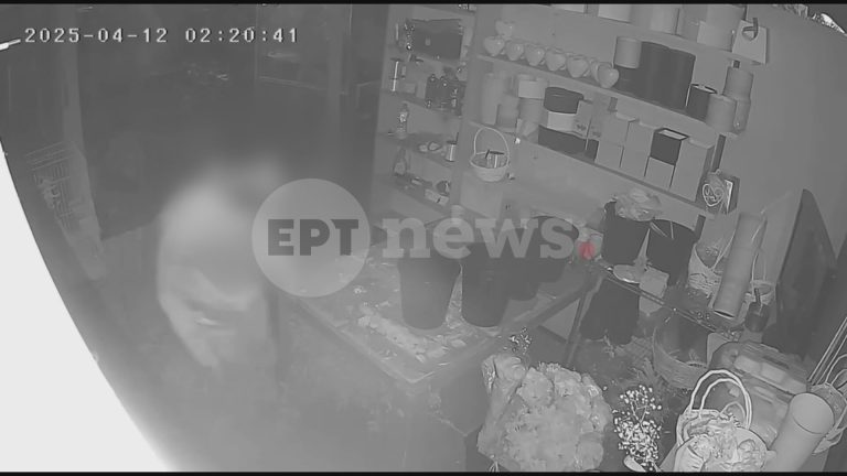 Βίντεο ντοκουμέντο του ΕΡΤnews από ληστεία σε ανθοπωλείο στη Νέα Φιλαδέλφεια – Πήραν τα πάντα εκτός από τα λουλούδια