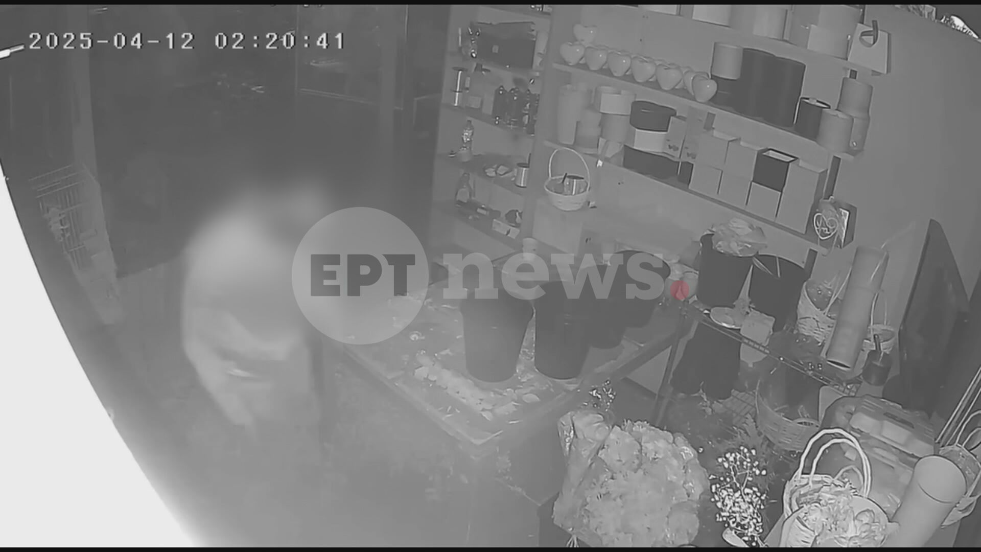 Βίντεο ντοκουμέντο του ΕΡΤnews από ληστεία σε ανθοπωλείο στη Νέα Φιλαδέλφεια – Πήραν τα πάντα εκτός από τα λουλούδια