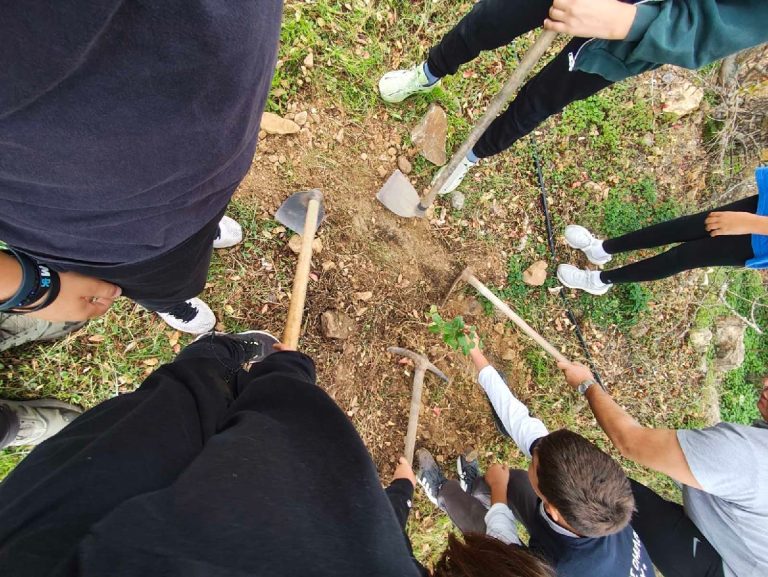 Δεντροφύτευση στην Αμανή από τα παιδιά του Ναυτικού Ομίλου Χίου