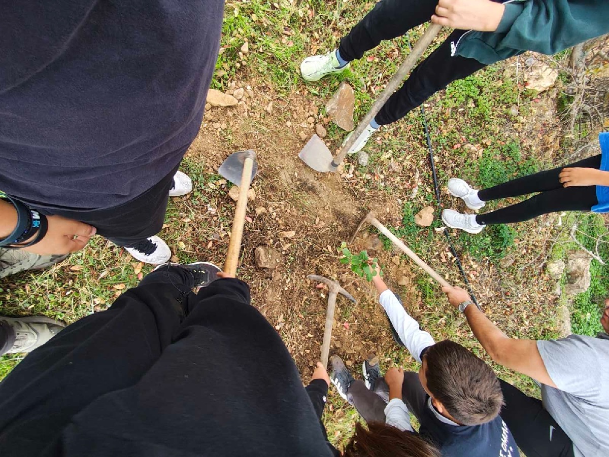Δεντροφύτευση στην Αμανή από τα παιδιά του Ναυτικού Ομίλου Χίου