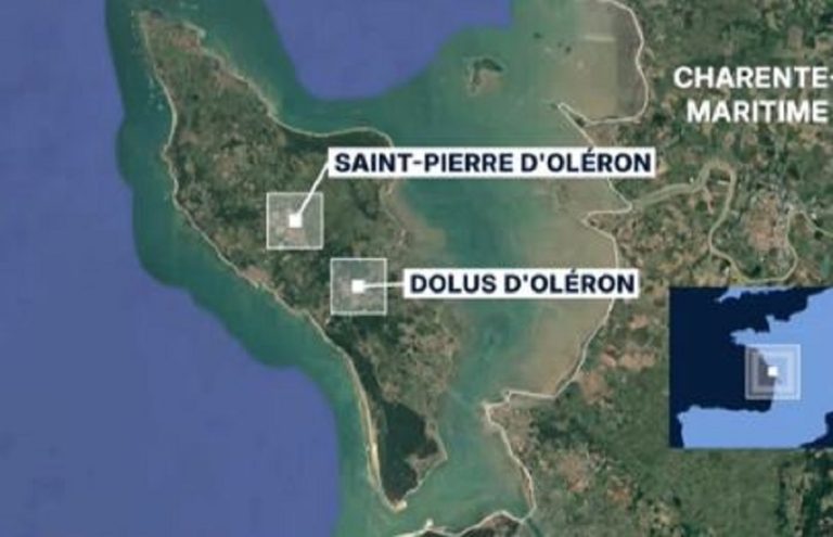 Γαλλία: Οδηγός έπεσε «εσκεμμένα» με το αυτοκίνητό του σε πλήθος – 10 τραυματίες