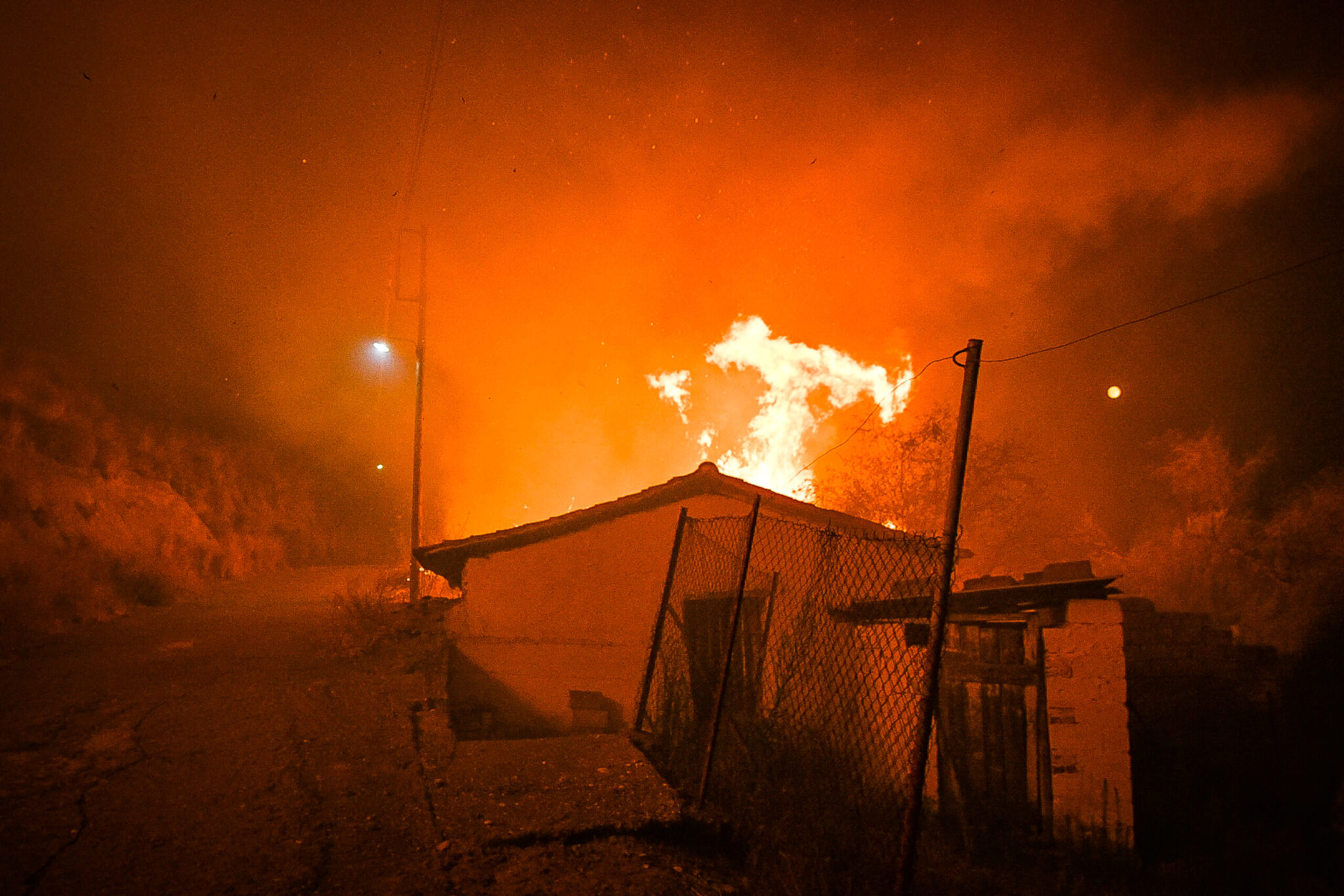 Κήρυξη αναδασωτέων εκτάσεων στα καμένα της Ολυμπίας