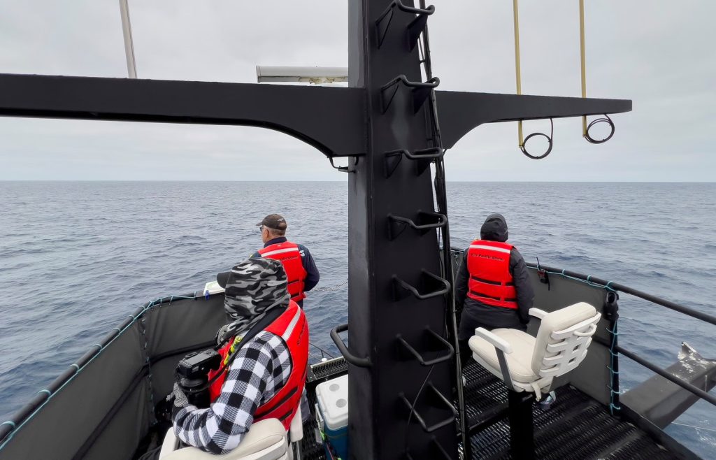 Επιστήμονες εντόπισαν σπάνιο θαλάσσιο πλάσμα που δεν είχε ξαναδεί ποτε κανείς ζωντανό