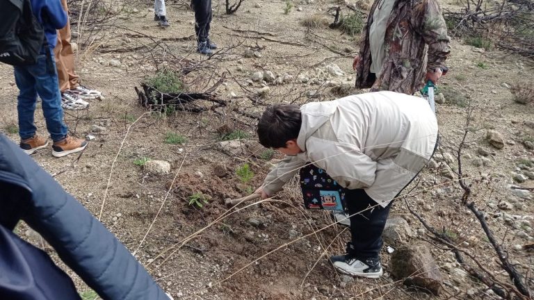 Στο Δάσος Δαδιάς μαθητές δημοτικού περιποιήθηκαν τα νέα δεντρα της αναγέννησης