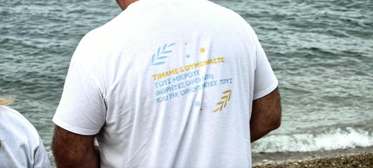 Πανεπιστημιακό Νοσοκομείο Πάτρας: Κωπηλατικός αγώνας για να τιμηθούν τα 17 παιδιά – δωρητές οργάνων