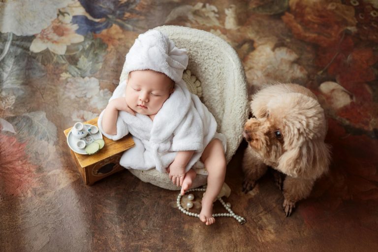 Η Ιταλία έχει περισσότερα κατοικίδια από μωρά – Σε ιστορικό χαμηλό οι γεννήσεις