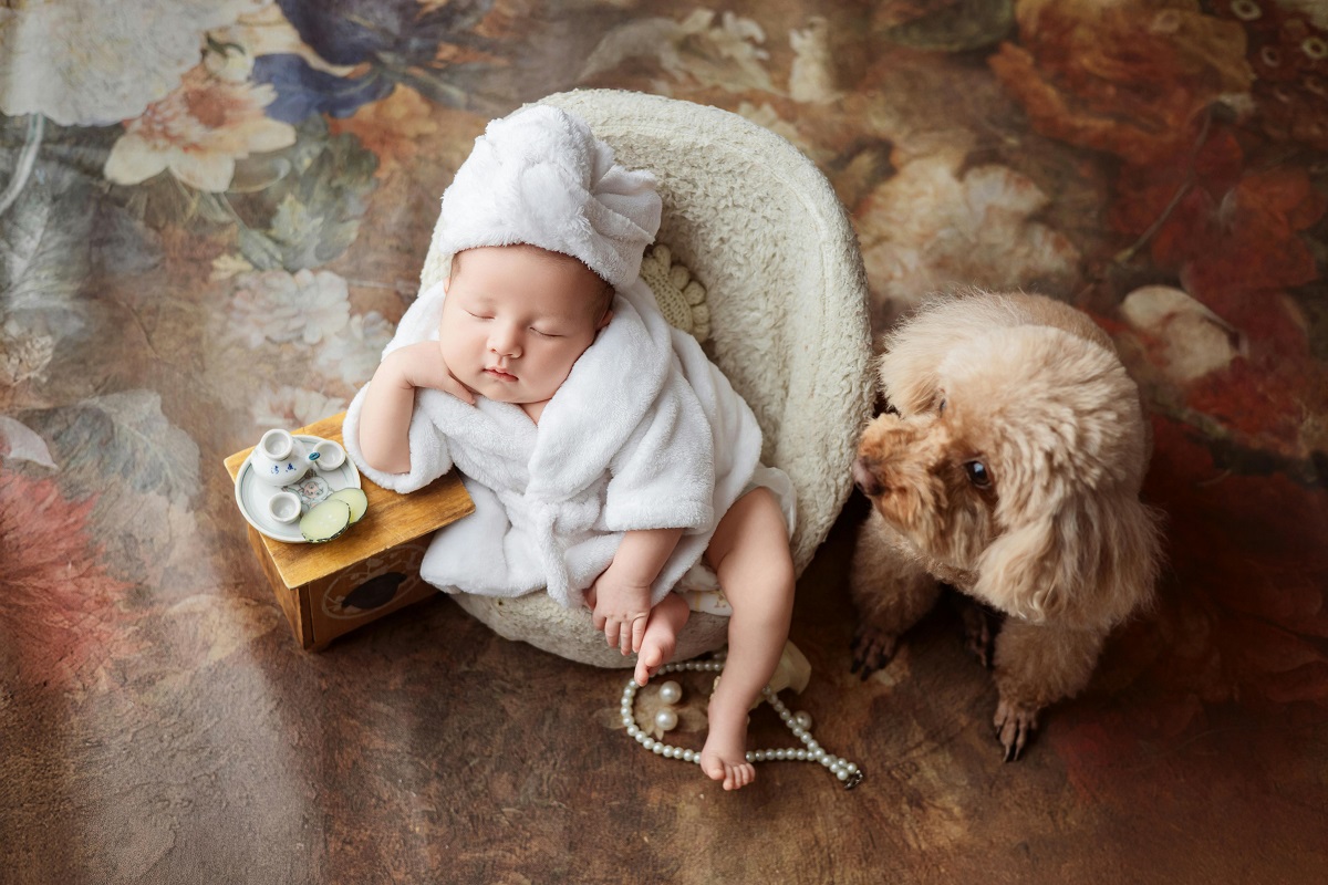 Η Ιταλία έχει περισσότερα κατοικίδια από μωρά – Σε ιστορικό χαμηλό οι γεννήσεις