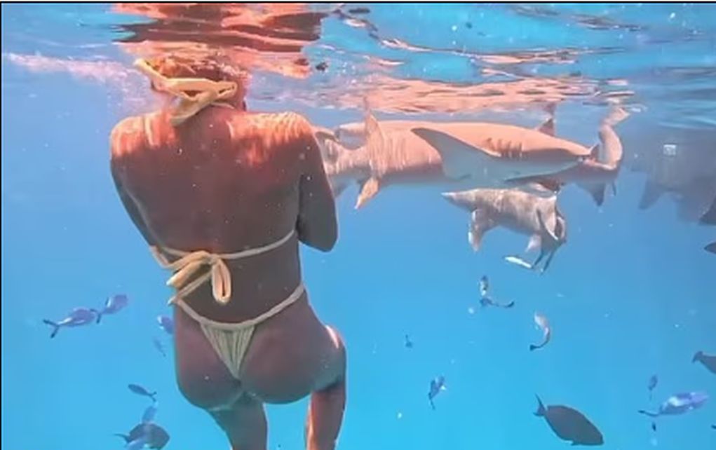 Δείτε τη ν.1 τενίστρια στον κόσμο Σαμπαλένκα να κολυμπά δίπλα… σε καρχαρίες στις Μαλδίβες! (video)